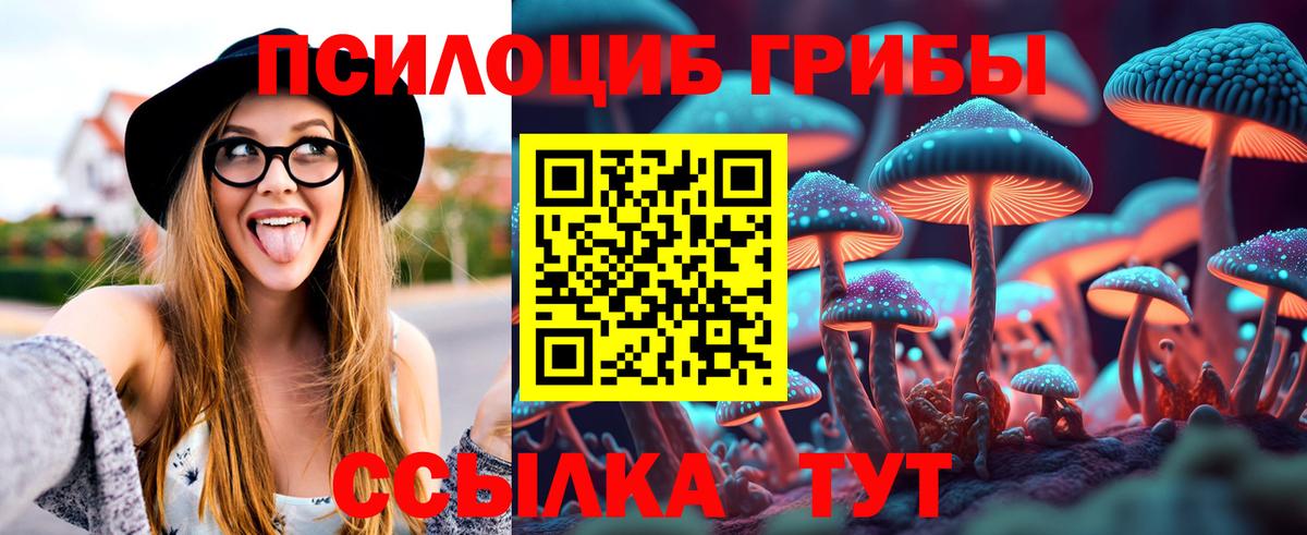 Гагарин  Псилоцибиновые грибы Cubensis  Вход с VPN  Галлюциногенные грибы ЛСД 