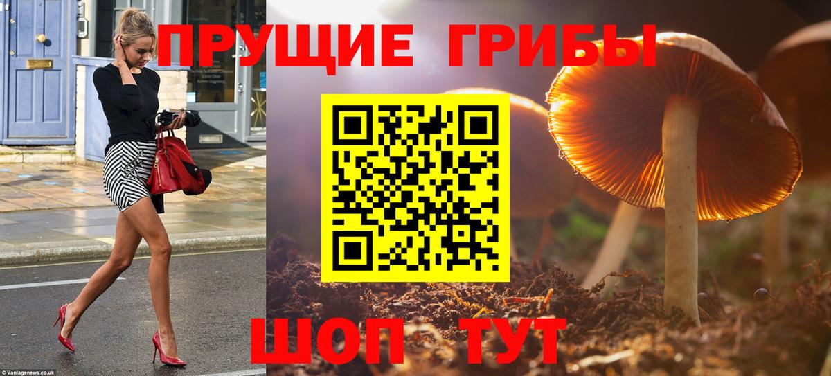 Псилоцибиновые грибы Magic Shrooms Гагарин